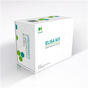 人白介素2受体ELISA试剂盒